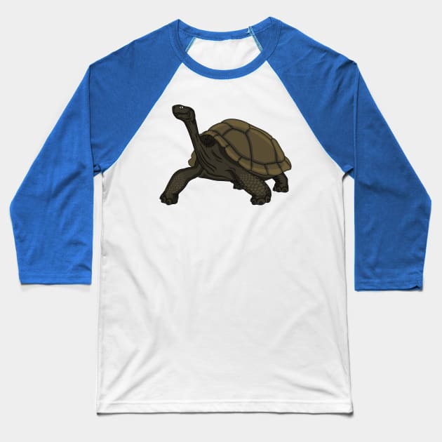 Galapagos land tortoise illustration Baseball T-Shirt by Cartoons of fun